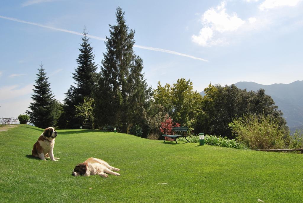 Husa Sant Bernat Montseny Szoba fotó